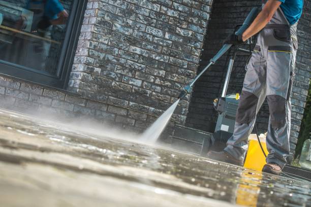 Best Graffiti Removal Services in Bylas, AZ