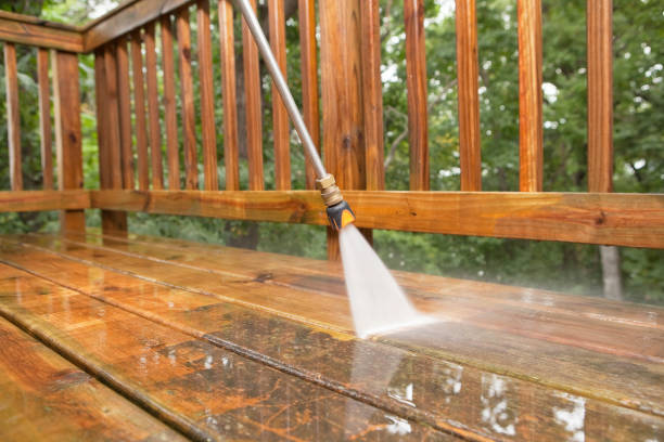 Best Pool Deck Cleaning in Bylas, AZ