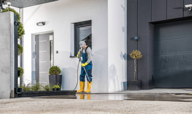 Best Roof Cleaning and Mildew Removal in Bylas, AZ